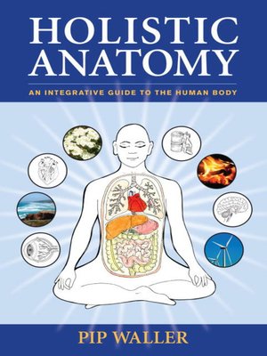cover image of Holistic Anatomy